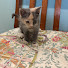 nLWe_9kyjVs-channel-avatar-Isuckatpickingusernames