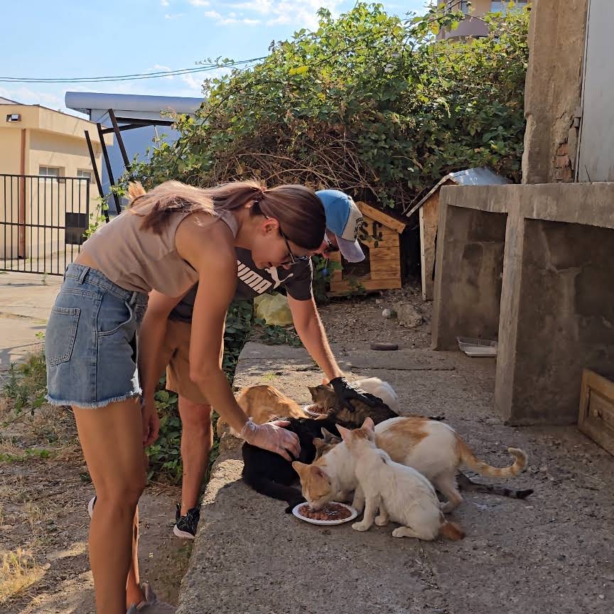 ❤︎ 「NEKO」KRY ❤︎ YouTube