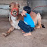 lZoRIOHijoI-channel-avatar-gir cow kishangarh ajmer