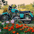 qtmmTQQvTds-channel-avatar-B-boda