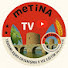 ELrb5oD62WQ-channel-avatar-Metina TV