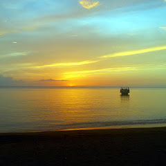 Dominicaweekly net worth