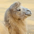 BsLlBpjbRyI-channel-avatar-Slow Travel China