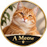 4FdZvwDTk-k-channel-avatar-A Meow