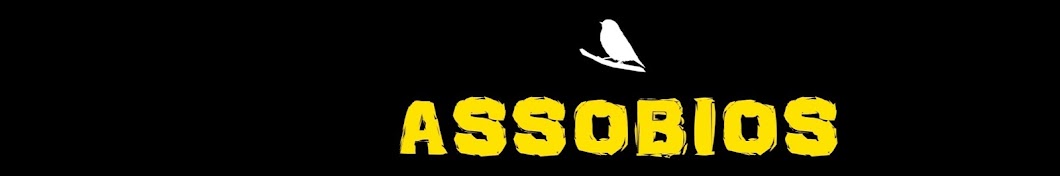 ASSOBIOS BRASIL YouTube channel avatar