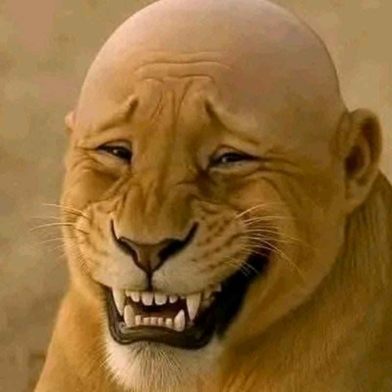 Channel Avatar