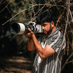 Rohan Travel Stories