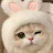@Bun-Bun-f6w