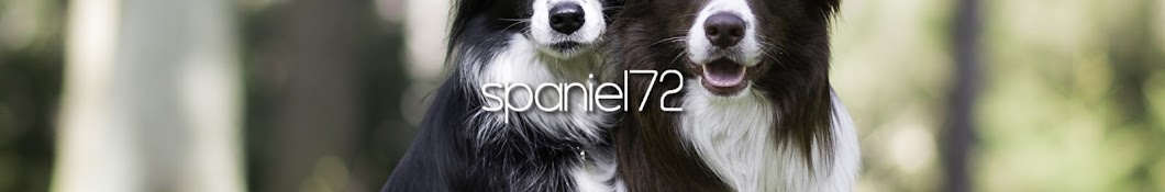 Spaniel72 YouTube channel avatar