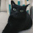 @ChromeArray's avatar