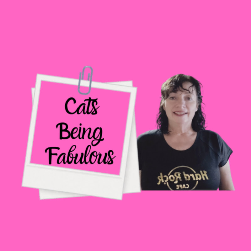 Cats Being Fabulous