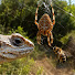 T7-pul2DAAE-channel-avatar- Wildlife Like Never Before 
