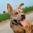 AvS7kR6zmFg-channel-avatar-Rocky And Jacky