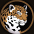 yxeaI6fUNuE-channel-avatar-Kazachokkk