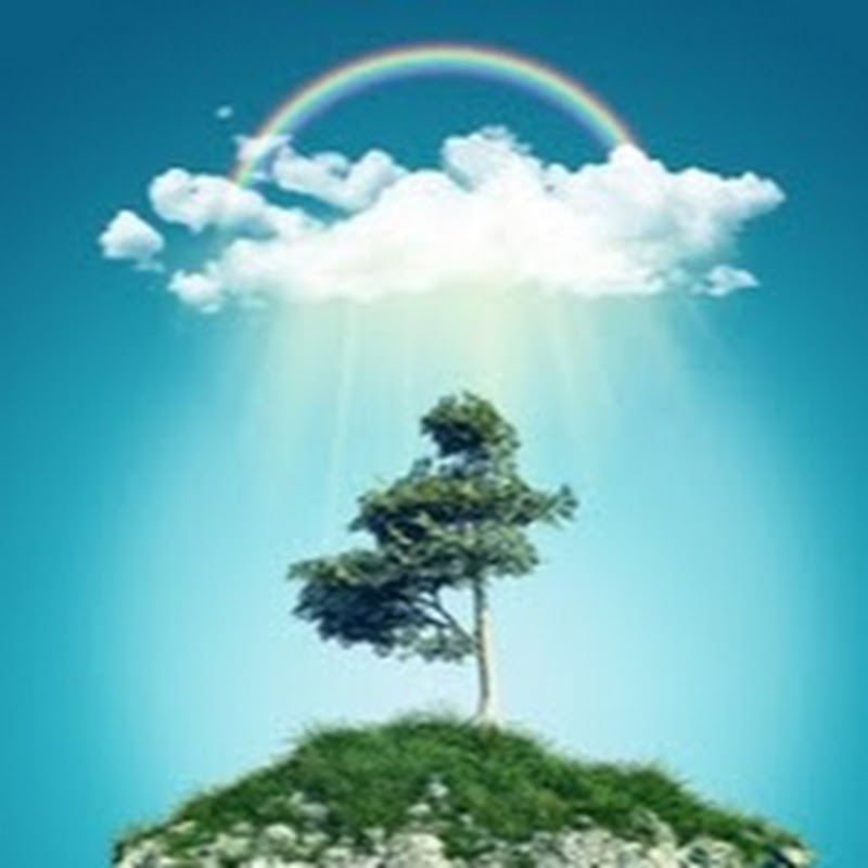 Peace of Mind - Sleep Music