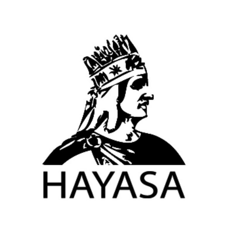 HAYASA  Logo