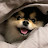 @user-yo3ht6ec7c