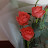 @향기-s5y