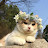 @hayaa32