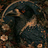 5RBlmvSkXcU-channel-avatar-Calamus Memoriae