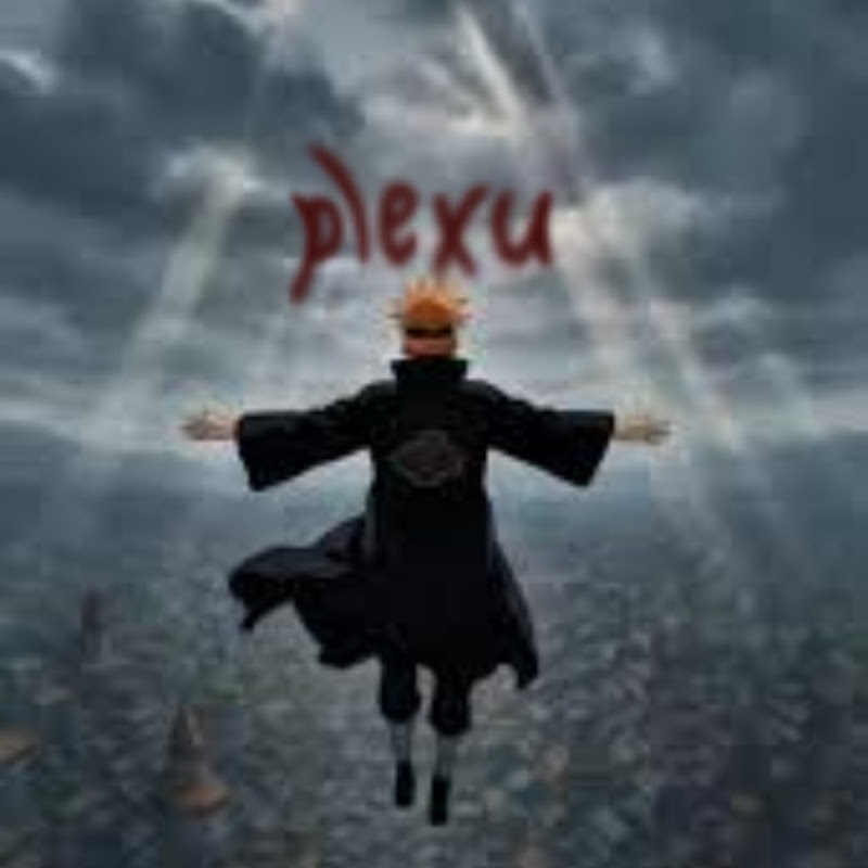 plexuXD