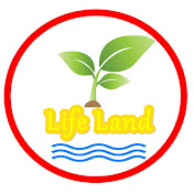 เหล่ง LifeLand ซื้อขายบ้าน ที่ดิน อสังหาริมทรัพย์