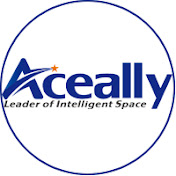 Warehouse Storage Solutions-Aceally