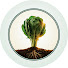 3wAIlsvQ8Dk-channel-avatar-Garden Mastery