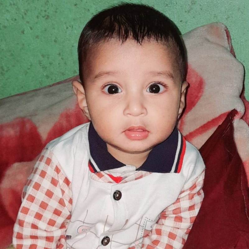 Mahmud TV