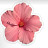 @امونه-ي2ث