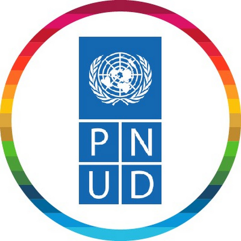 PNUD Niger