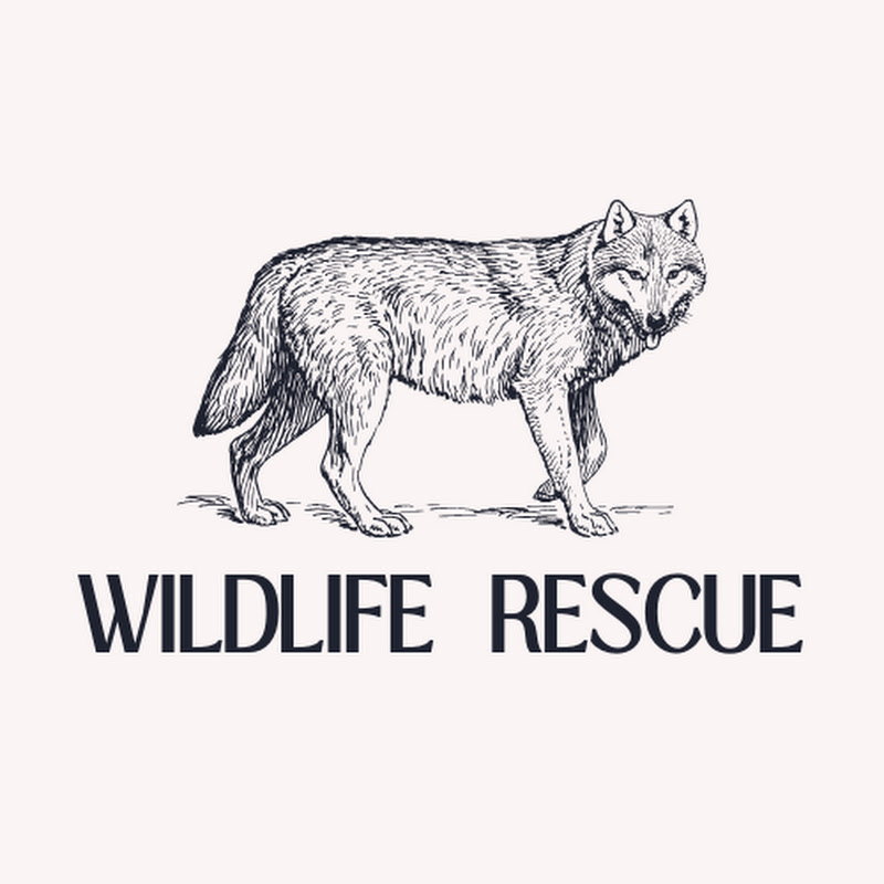 Wildlife Rescue profile avatar