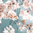 @sornsokhon9474