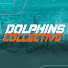 VSmFXeHf60s-channel-avatar-Dolphins Collective