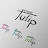 tulip group