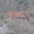 eyu_azcdjIw-channel-avatar-Banjara Wildlife Campers