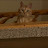 @또띠와또봉이