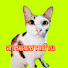 OmQZ_KRJI9U-channel-avatar-สารแนชาวบ้าน