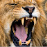 MuGXax1P5x4-channel-avatar-Leo Therapy Room