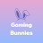 Gaming Bunnies