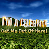What could I'm A Celebrity... Get Me Out Of Here! buy with $1.25 million?