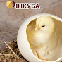 Добові курчата несучки - ТОВ "ІНКУБА" logo