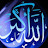 avatar of @mohammadsakran3525