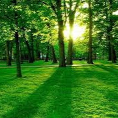 Guardianes De La Naturaleza