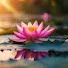 4Ws5ihlcMgg-channel-avatar-Buddhist Monk