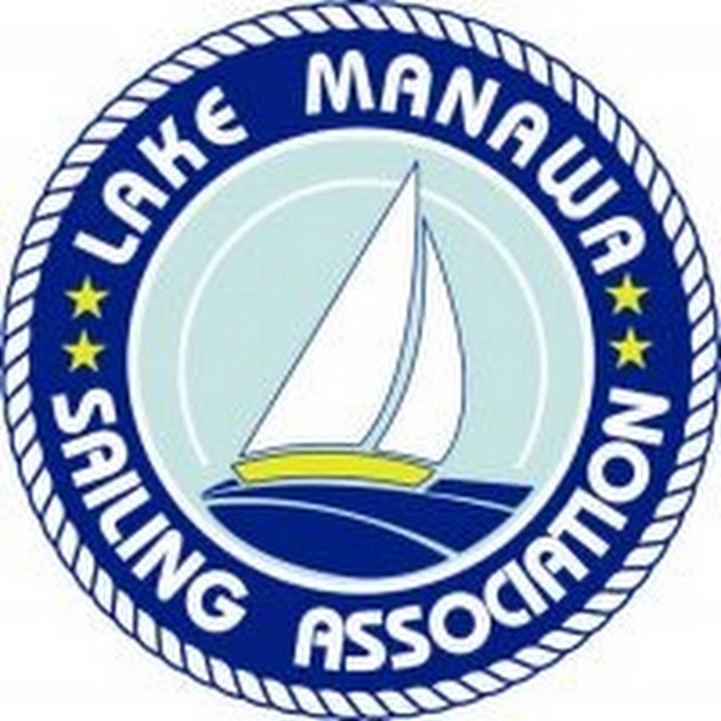 LMSA Webcam logo