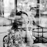mNrJO88W_U8-channel-avatar-Tara Marino