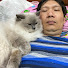 gEWjH0HjcTo-channel-avatar-Lovely pets and animal