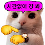 시선조각