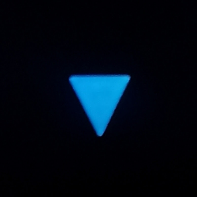 V4Vishishth